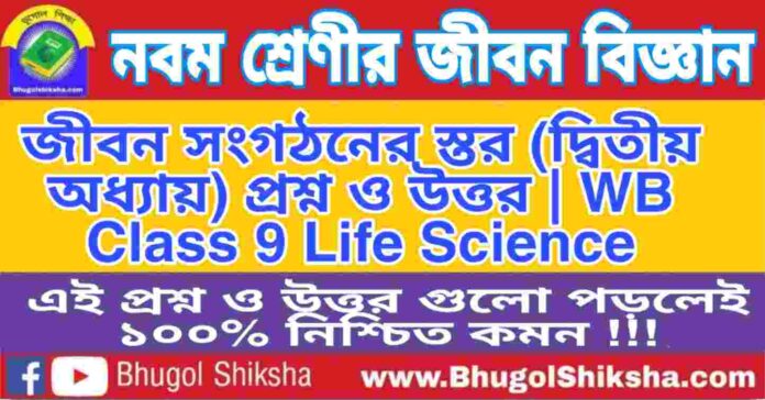 নবম শ্রেণীর জীবন বিজ্ঞান - জীবন সংগঠনের স্তর (দ্বিতীয় অধ্যায়) প্রশ্ন ও উত্তর | WB Class 9 Life Science নবম শ্রেণীর জীবন বিজ্ঞান - জীবন সংগঠনের স্তর (দ্বিতীয় অধ্যায়) প্রশ্ন ও উত্তর | WB Class 9 Life Science
