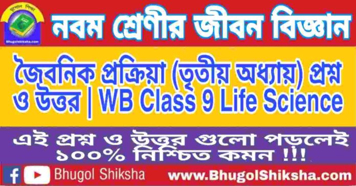 নবম শ্রেণীর জীবন বিজ্ঞান - জৈবনিক প্রক্রিয়া (তৃতীয় অধ্যায়) প্রশ্ন ও উত্তর | WB Class 9 Life Science নবম শ্রেণীর জীবন বিজ্ঞান - জৈবনিক প্রক্রিয়া (তৃতীয় অধ্যায়) প্রশ্ন ও উত্তর | WB Class 9 Life Science